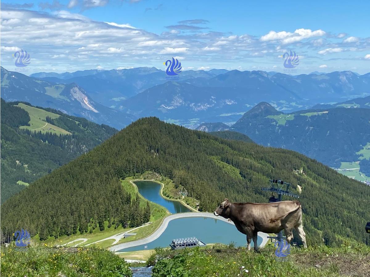 Royal Swan Appartement, Tirol Fügen Esterno foto